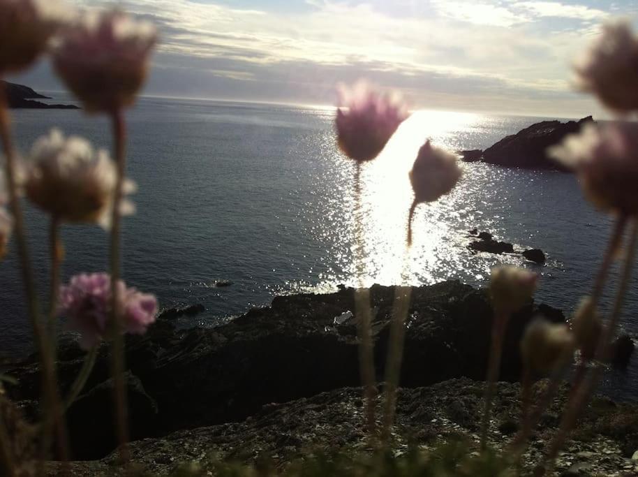 2Bed With Pool & Sea View Apartment Newquay  Bagian luar foto